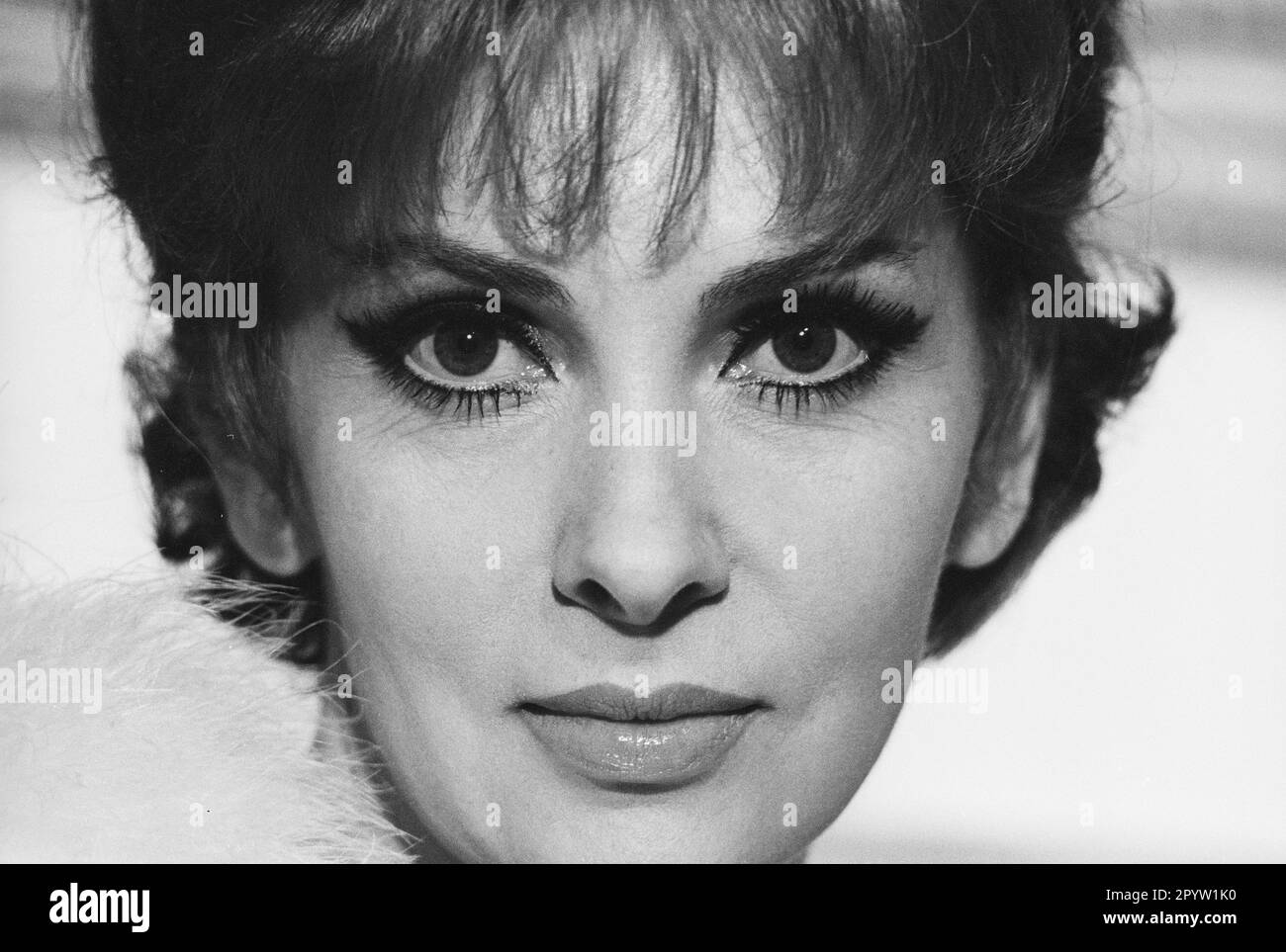 Actriz de cine italiana gina lollobrigida fotografías e imágenes de