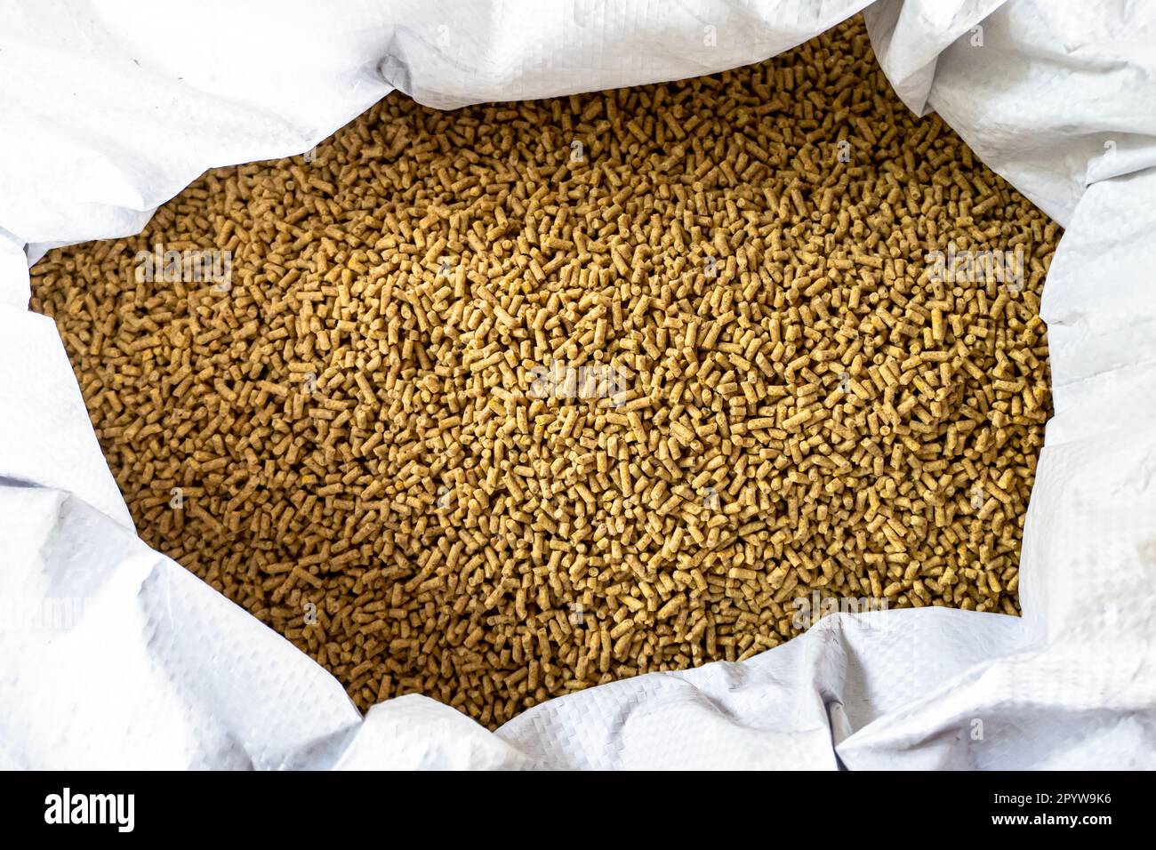 Alimentación de aves de corral para alimentación de pollo. Las gallinas