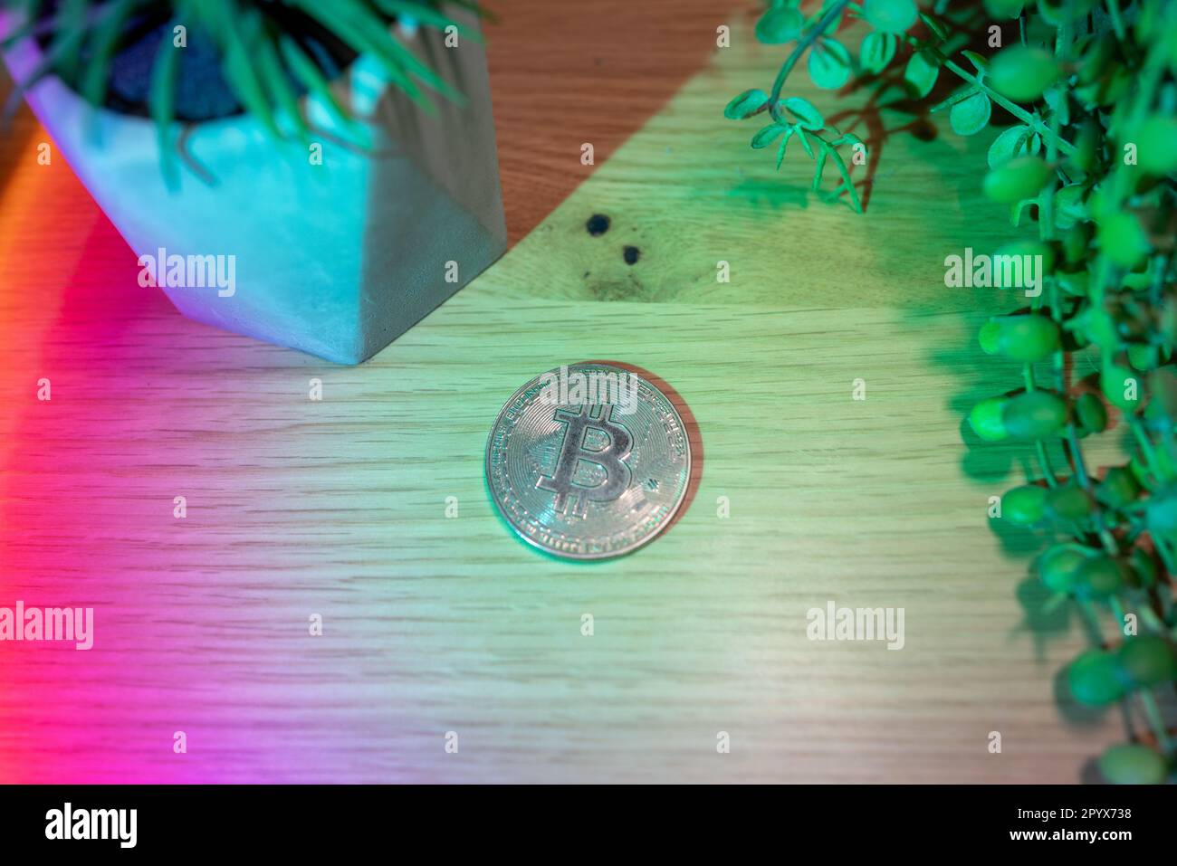 Moneda de oro Bitcoin - concepto de criptomoneda - Bitcoin rodeado de luces RGB Foto de stock
