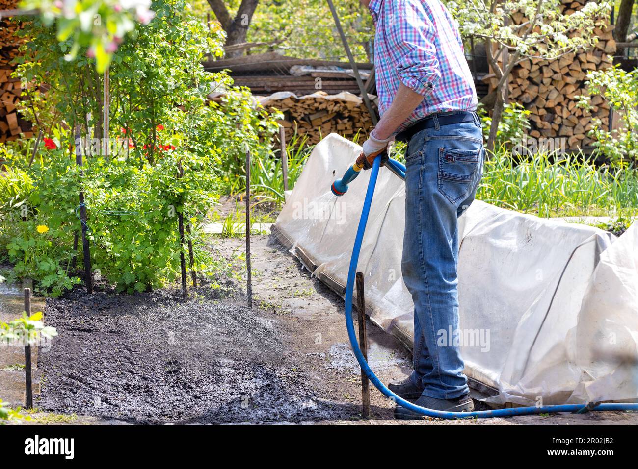 Un jardinero está regando las camas en una parcela de jardín en el patio de su propia casa en un día de primavera. Concepto de jardinería. Foto de stock