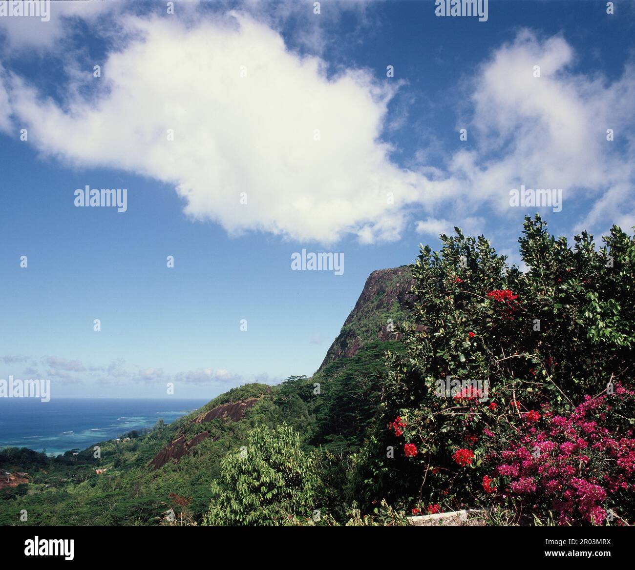 Seychelles. Mahé. Montaña Copolia. Foto de stock