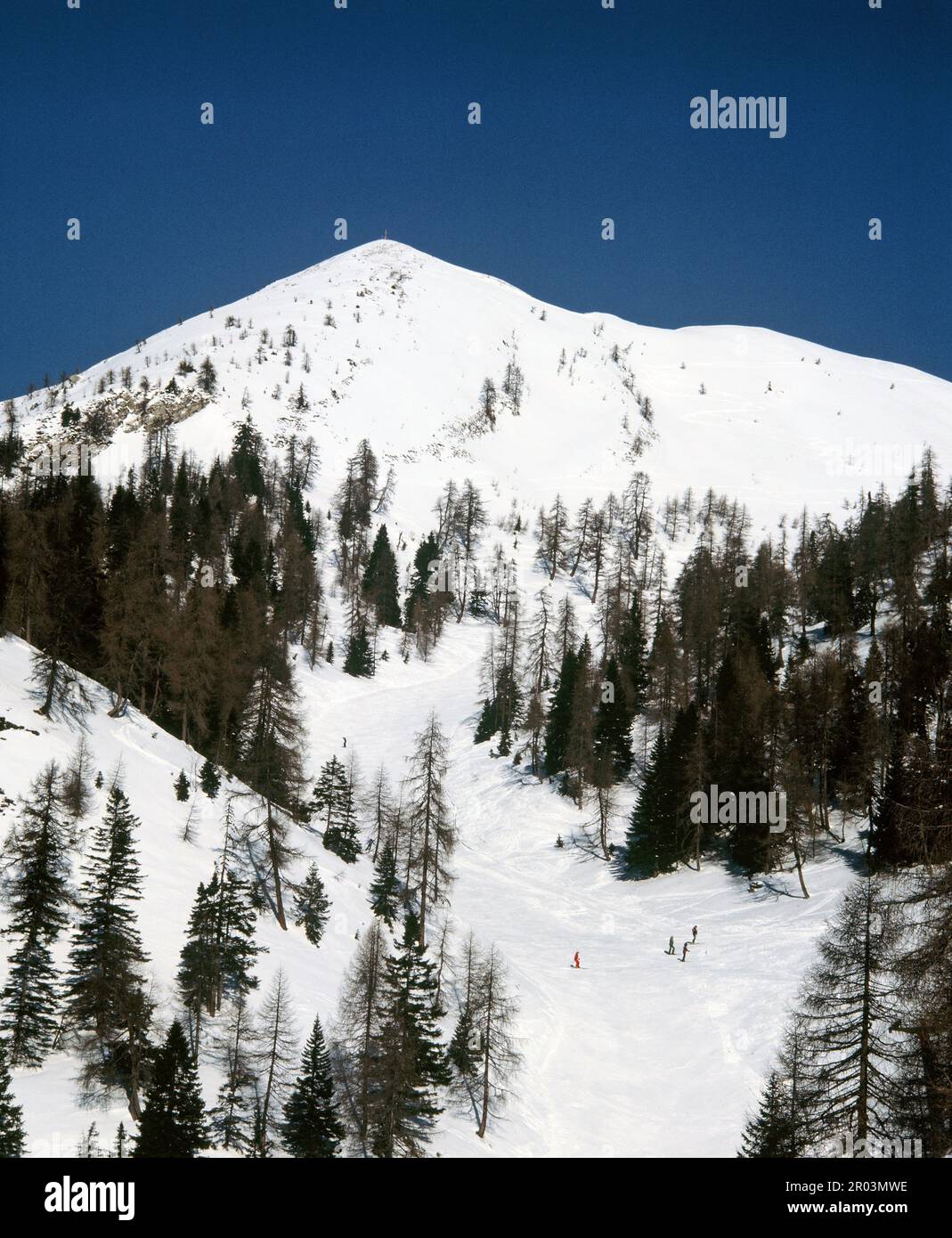Italia. A cargo de Forni Di Sopra. Pista de esquí de las Montañas Dolomitas. Foto de stock