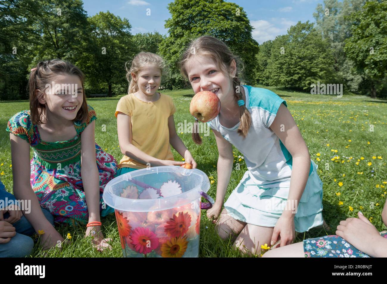 Chica tratando de sacar manzana de un cubo con su boca, Munich, Baviera, Alemania Foto de stock