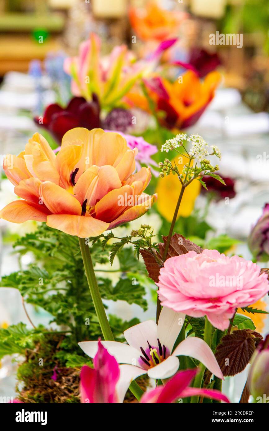 Una hermosa exhibición floral que corre por el centro de una mesa en una boda Foto de stock