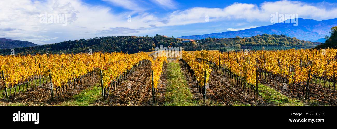 Italia. Paisaje de naturaleza escénica de Toscana. vista panorámica del campo con colinas de viñedos en colores otoñales Foto de stock