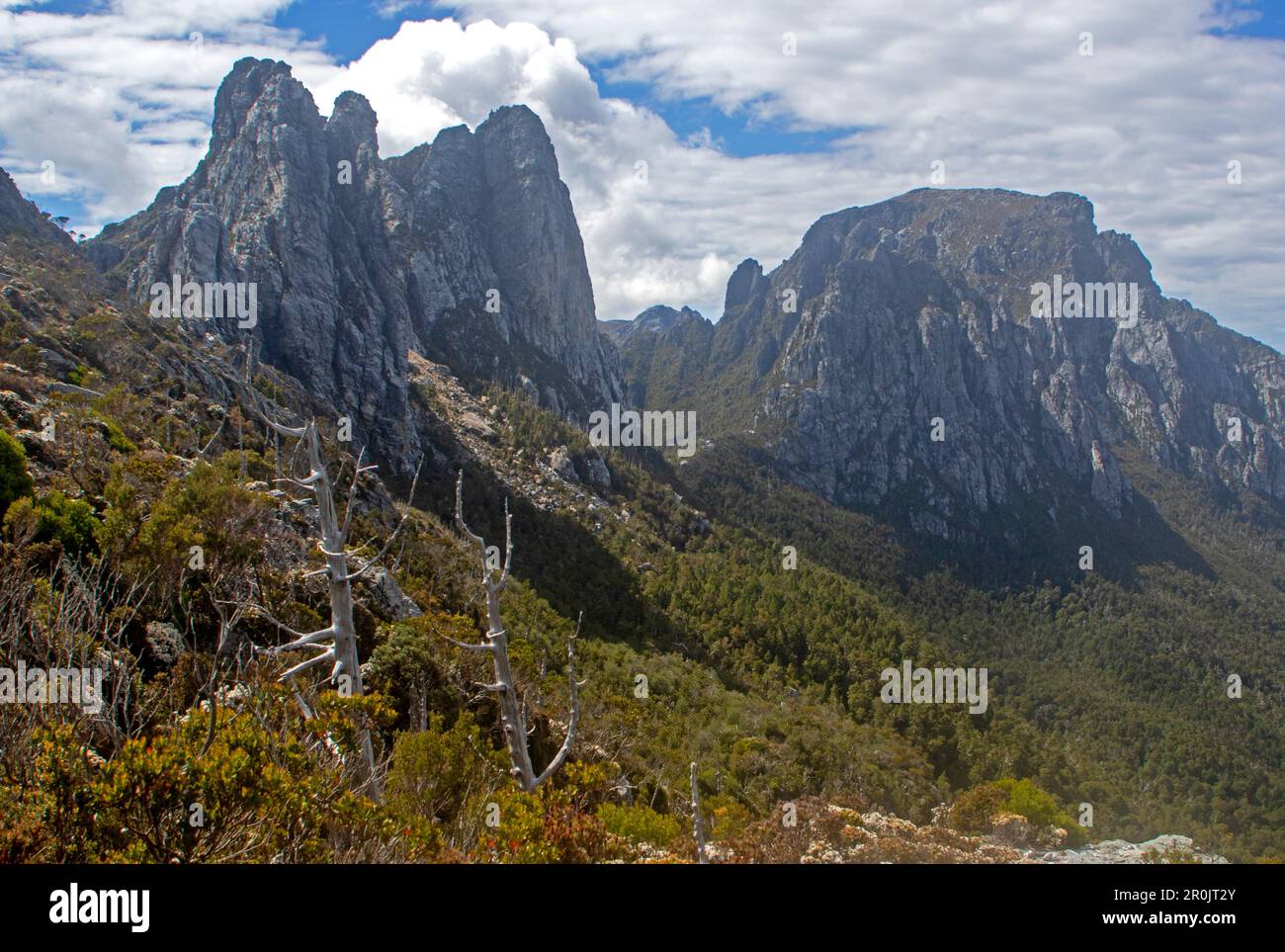 Sharlands Peak y Philps Peak, Parque Nacional Franklin-Gordon Wild Rivers Foto de stock