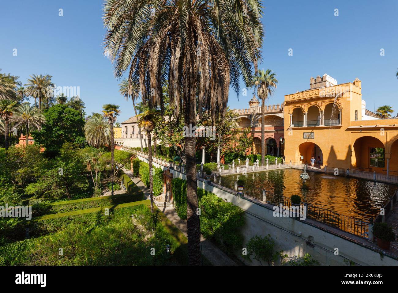 Estanque de Mercurio, cuenca de agua, palmeras en los Jardines del Real Alcázar, palacio real, Patrimonio de la Humanidad de la UNESCO, Sevilla, Andalucía, España, Europa Foto de stock