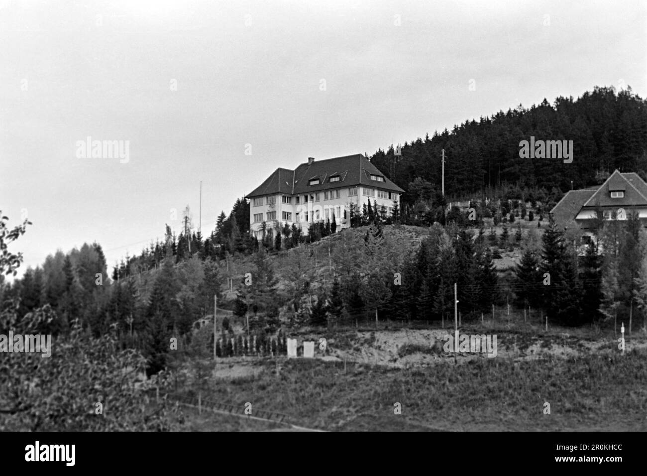 Institut für Hirnforschung und allgemeine Biologie begründet durch das