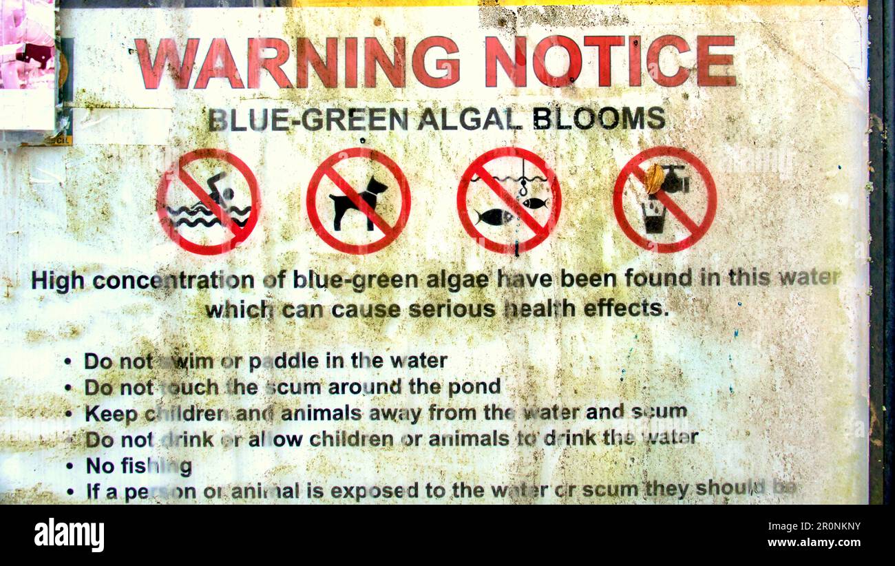 aviso de advertencia de algas verde azul Foto de stock