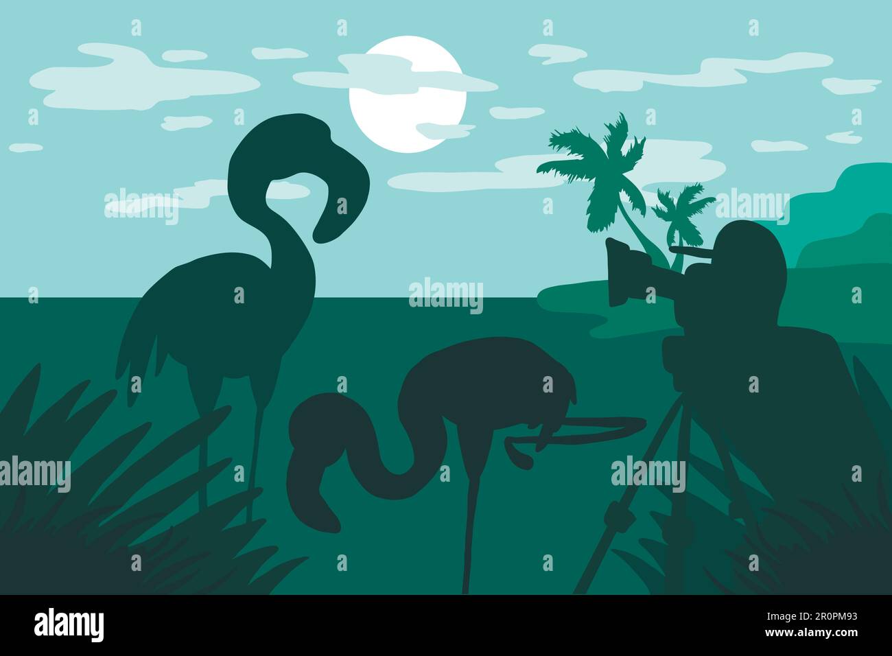 Fotógrafo fotografías flamingo en la naturaleza. Ilustración con foto de pie y vídeo cazador con cámara y dos flamencos en el paisaje tropical ingenio Ilustración del Vector