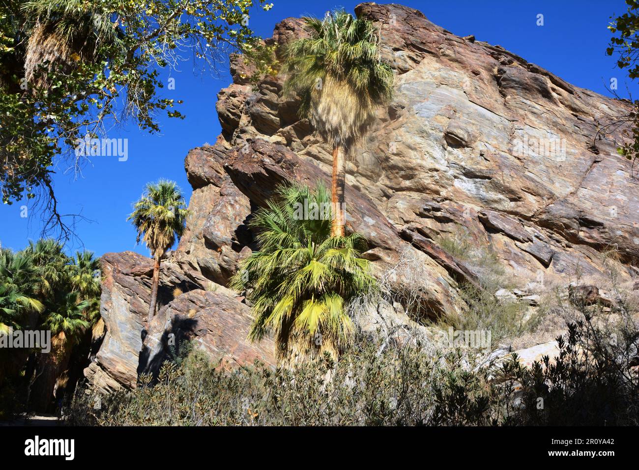 Formación rocosa Andreas Canyon Foto de stock