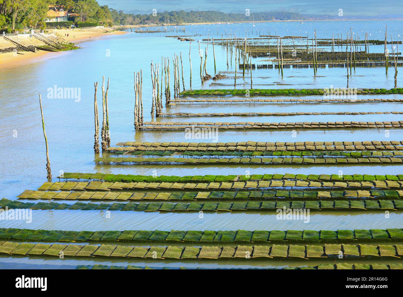 Granja de ostras en la bahía de Arcachon, Francia Foto de stock