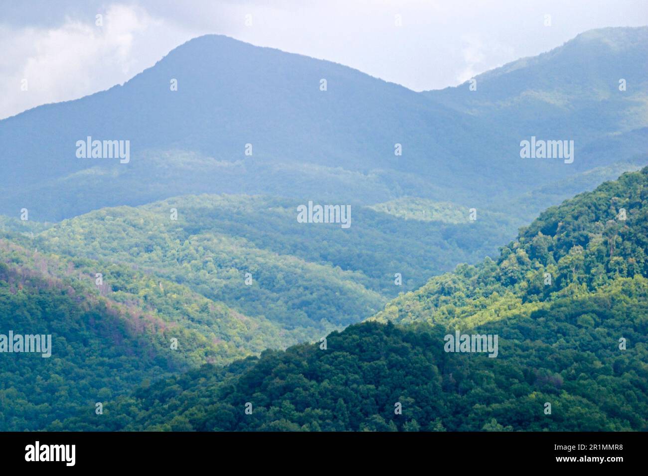 Tennessee Great Smoky Mountains National Park, tierra federal, naturaleza, natural, paisaje, campo, preservación histórica, público, recreación, viajes de los visitantes Foto de stock