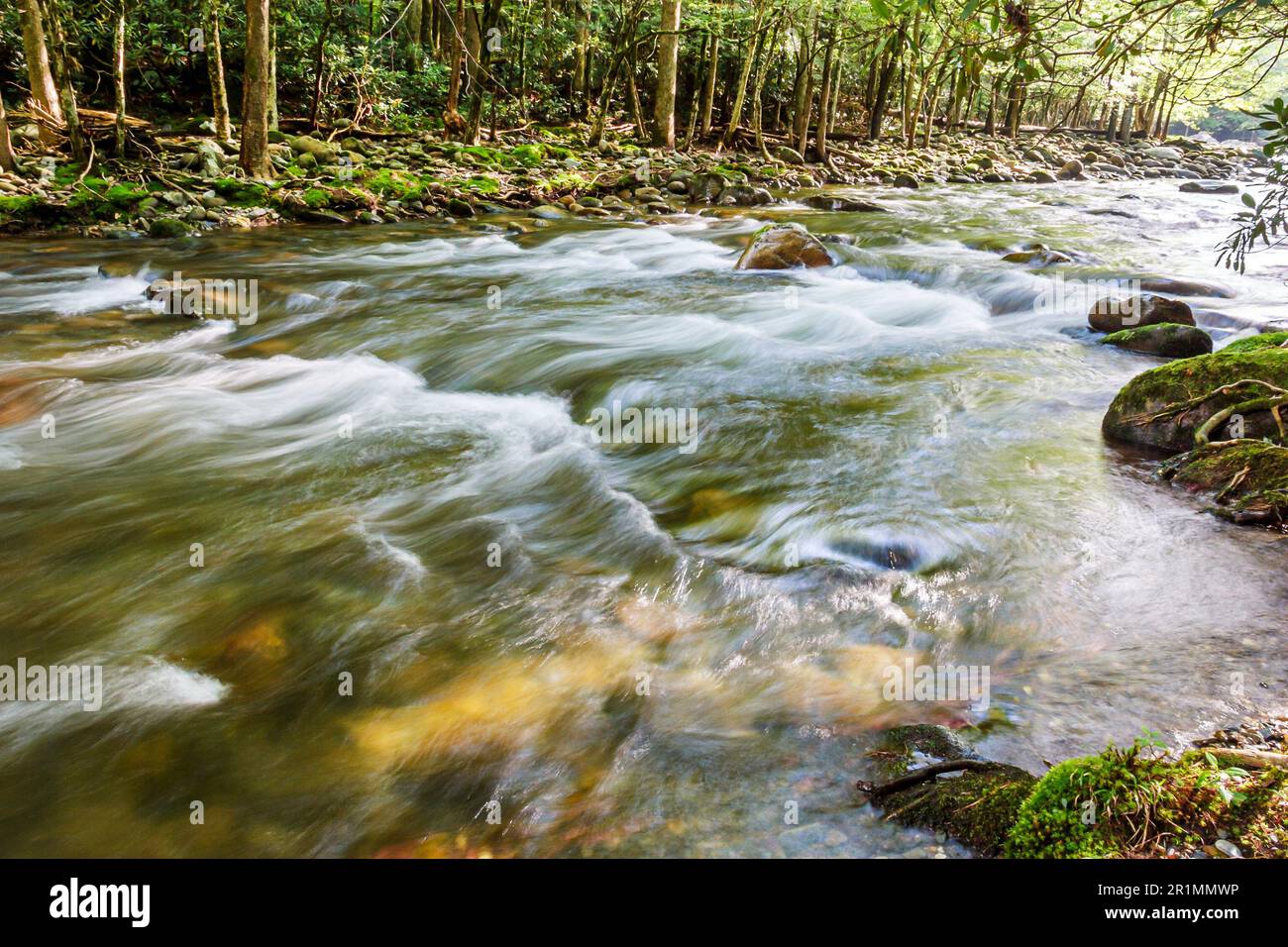Tennessee Great Smoky Mountains National Park, naturaleza paisaje natural río arroyo que fluye, 080403 W0035 Foto de stock