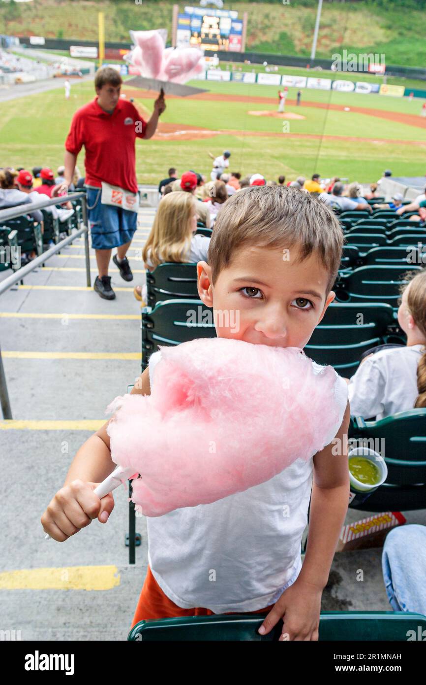 Sevierville Tennessee, Tennessee Smokies Doble AA Estadio de béisbol, liga menor de niños come algodón dulce, Foto de stock