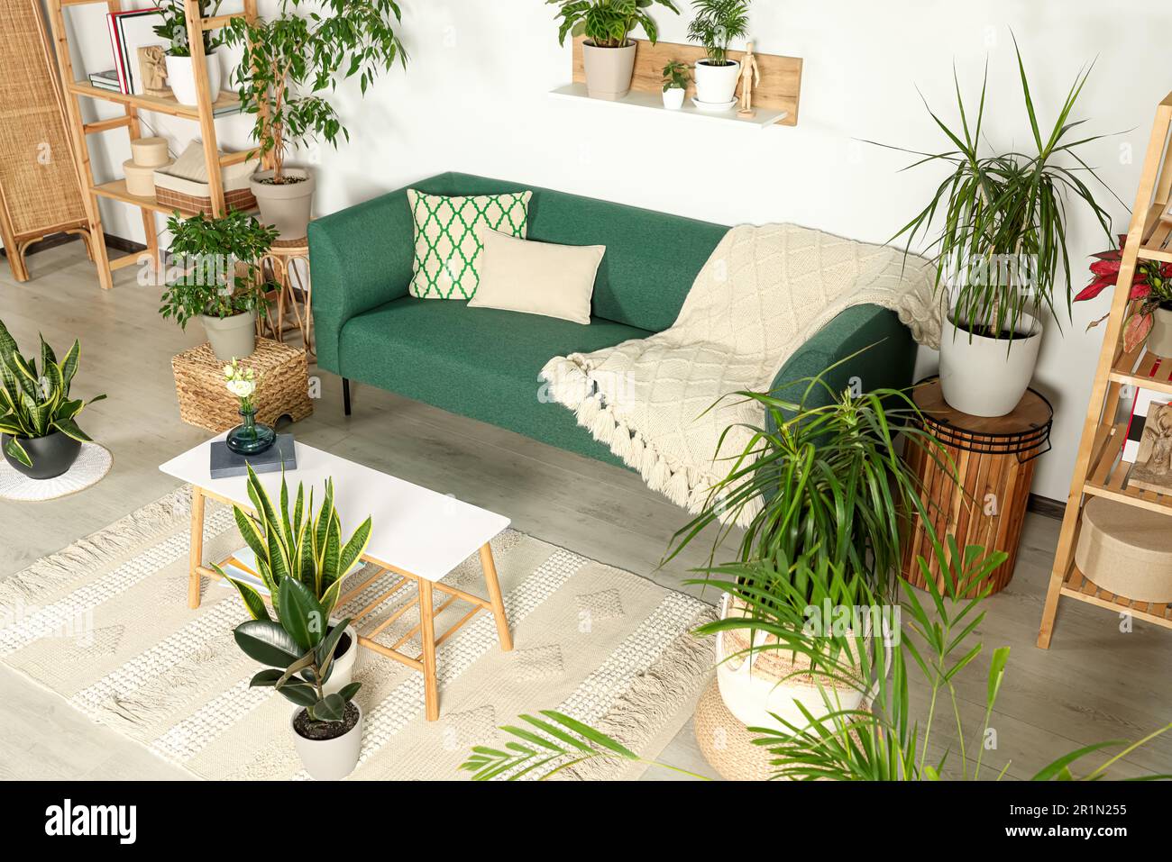 Interior de la sala de estar con hermosas plantas verdes en macetas y  muebles. Decoración de la casa Fotografía de stock - Alamy