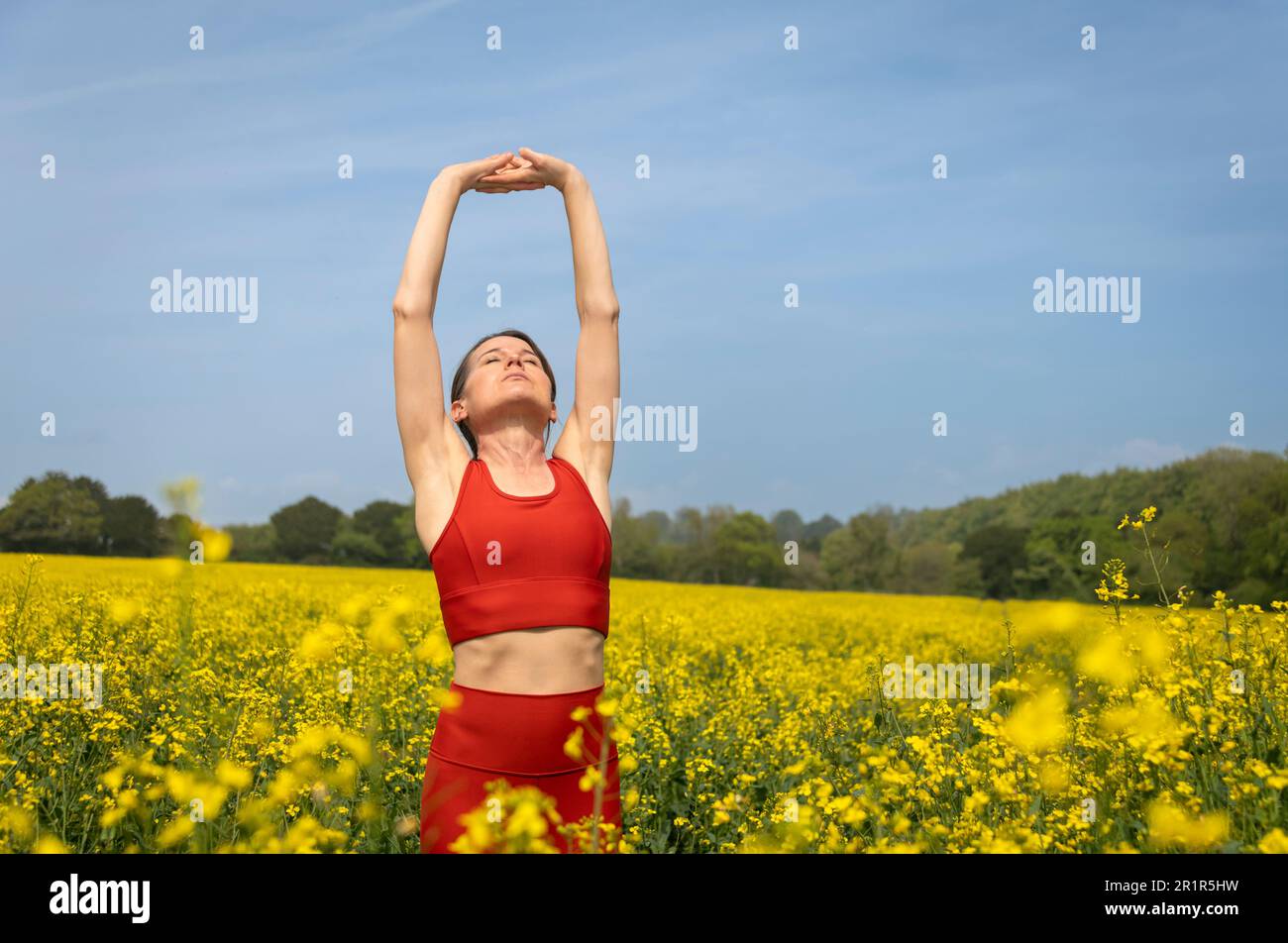 fit, corredor de mujer deportiva haciendo un estiramiento del brazo en un campo amarillo con un cielo azul Foto de stock