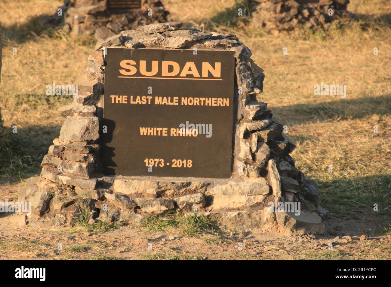 Tumba del último rinoceronte blanco macho del norte de Sudán. OL Pejeta Conservancy. Laikipia Plateau, Kenia, África, Cementerio del rinoceronte, lápidas de rinoceronte que marcan wh Foto de stock