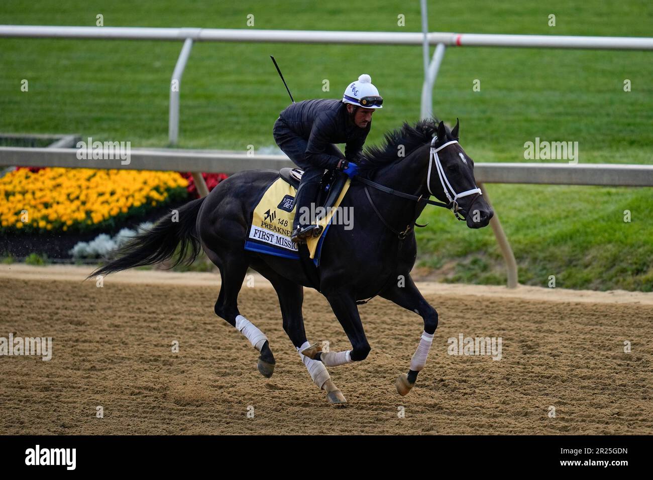 Preakness entrant First Mission works out ahead of the 148th running of