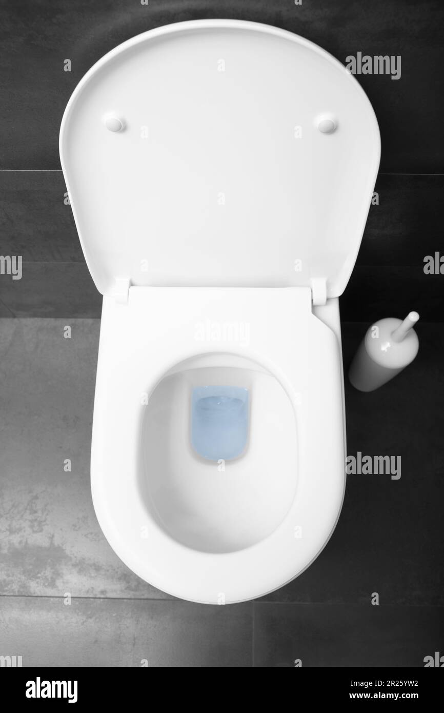 Mano Humana En La Taza Del Inodoro O El WC Que Limpia Con