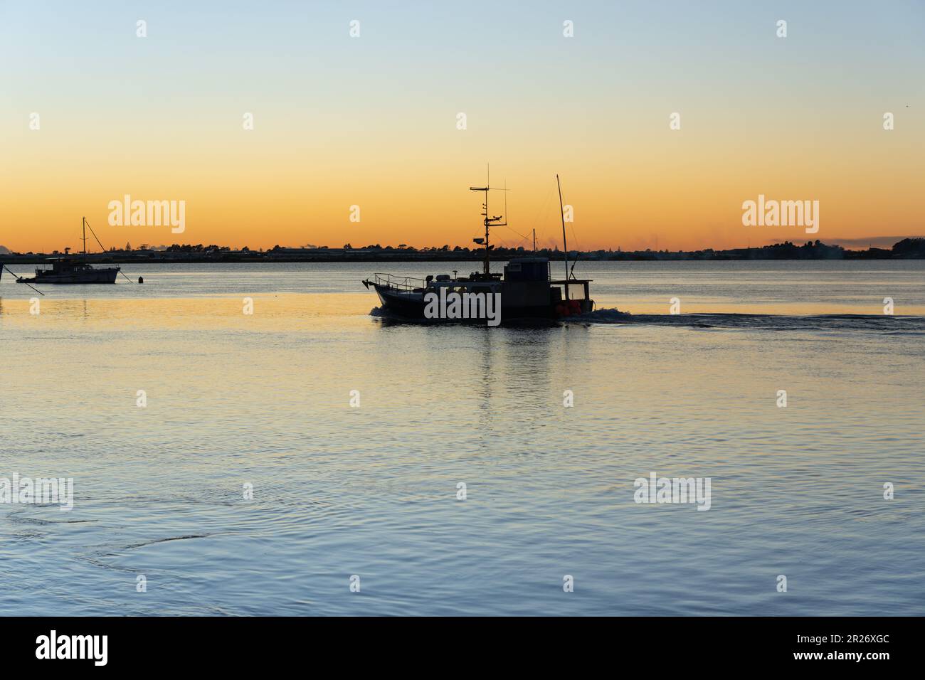 Barco de pesca comercial que sale de Tauranga en la luz de la mañana en silueta Foto de stock