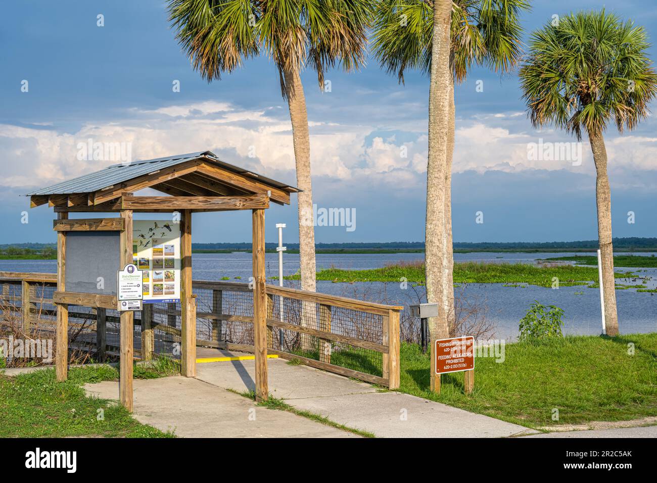 Paseo marítimo de observación del EcoPassage en Paynes Prairie Preserve State Park a lo largo de los Estados Unidos Autopista 441 en Micanopy, Florida, cerca de Gainesville. (EE.UU.) Foto de stock