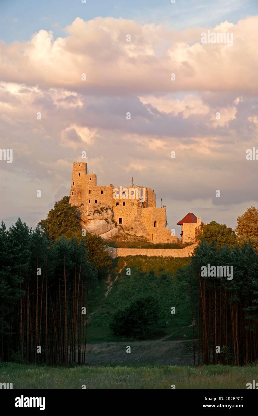 Bobolice Castle es un castillo real del siglo 14th en el pueblo de Bobolice, Polonia. El complejo se encuentra dentro de una región semi-montañosa de tierras altas ca Foto de stock