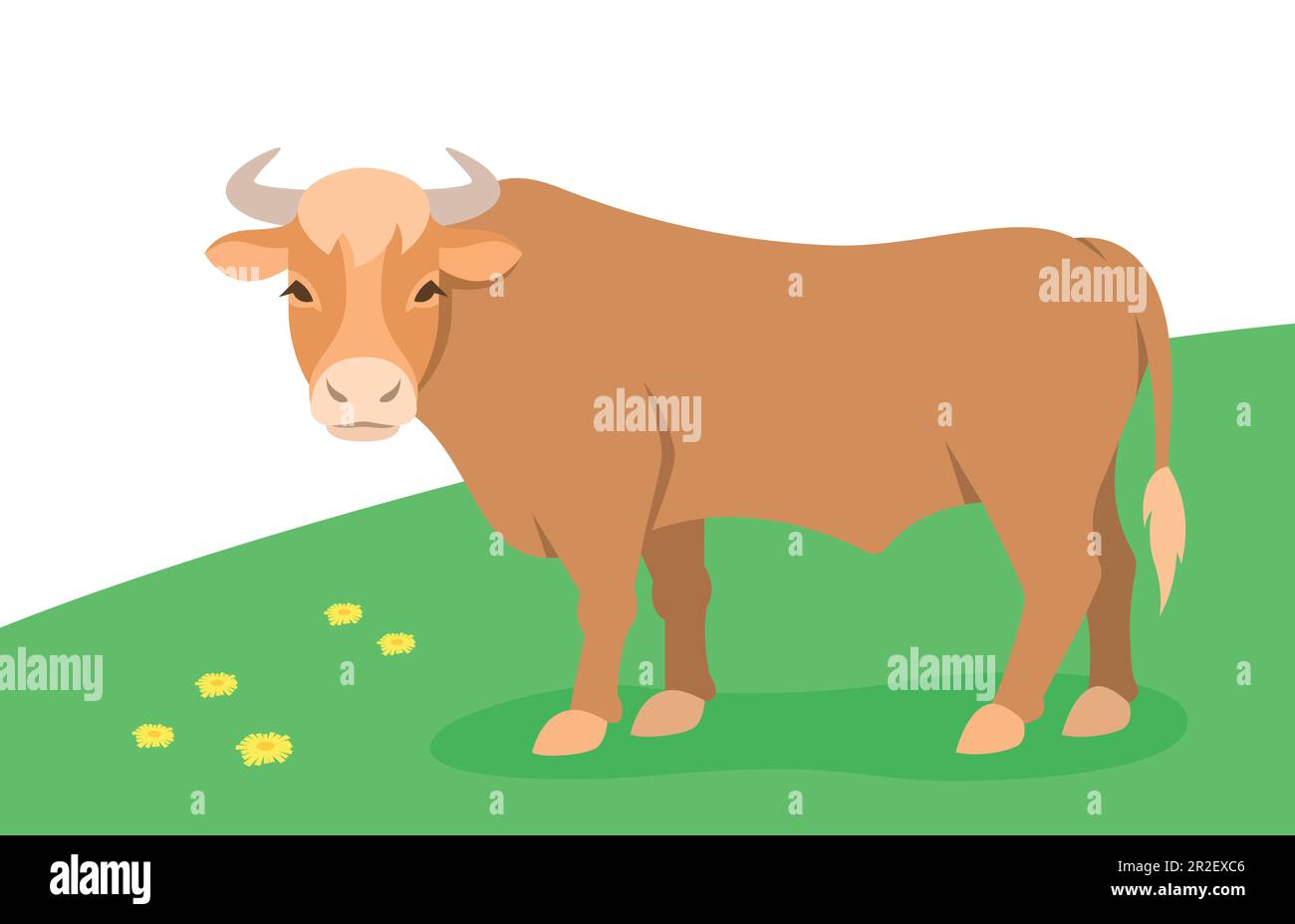 Toro doméstico pastando en un pasto verde. Animal de granja. Simple ilustración plana de dibujos animados. Spring meadow fondo Ilustración del Vector