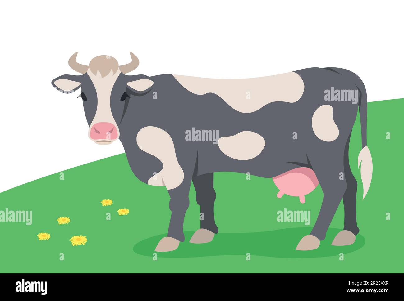 Vaca blanca y negra cornuda de pie sobre la hierba verde. Animales domésticos de granja pastando en un pasto de primavera. Ilustración plana de dibujos animados de ganado Ilustración del Vector