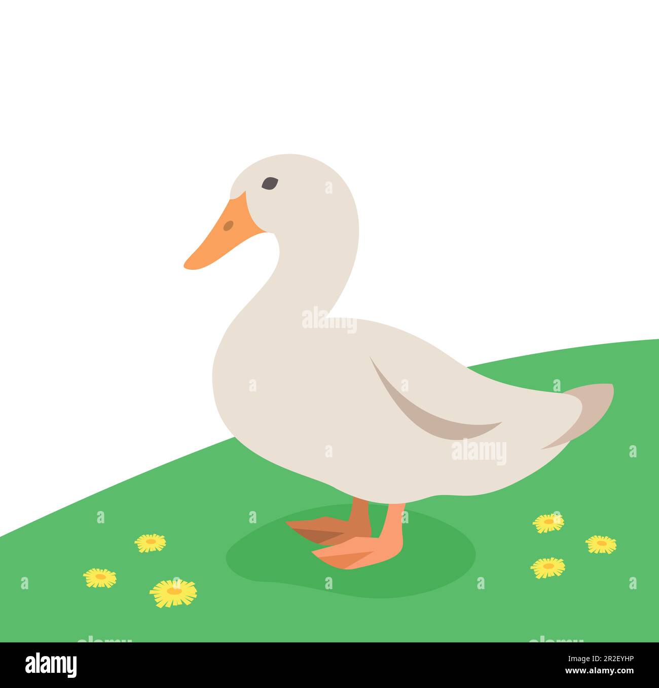 Pato femenino de pie en la hierba verde. Aves de granja. Animal doméstico plana ilustración de dibujos animados. Spring meadow fondo Ilustración del Vector