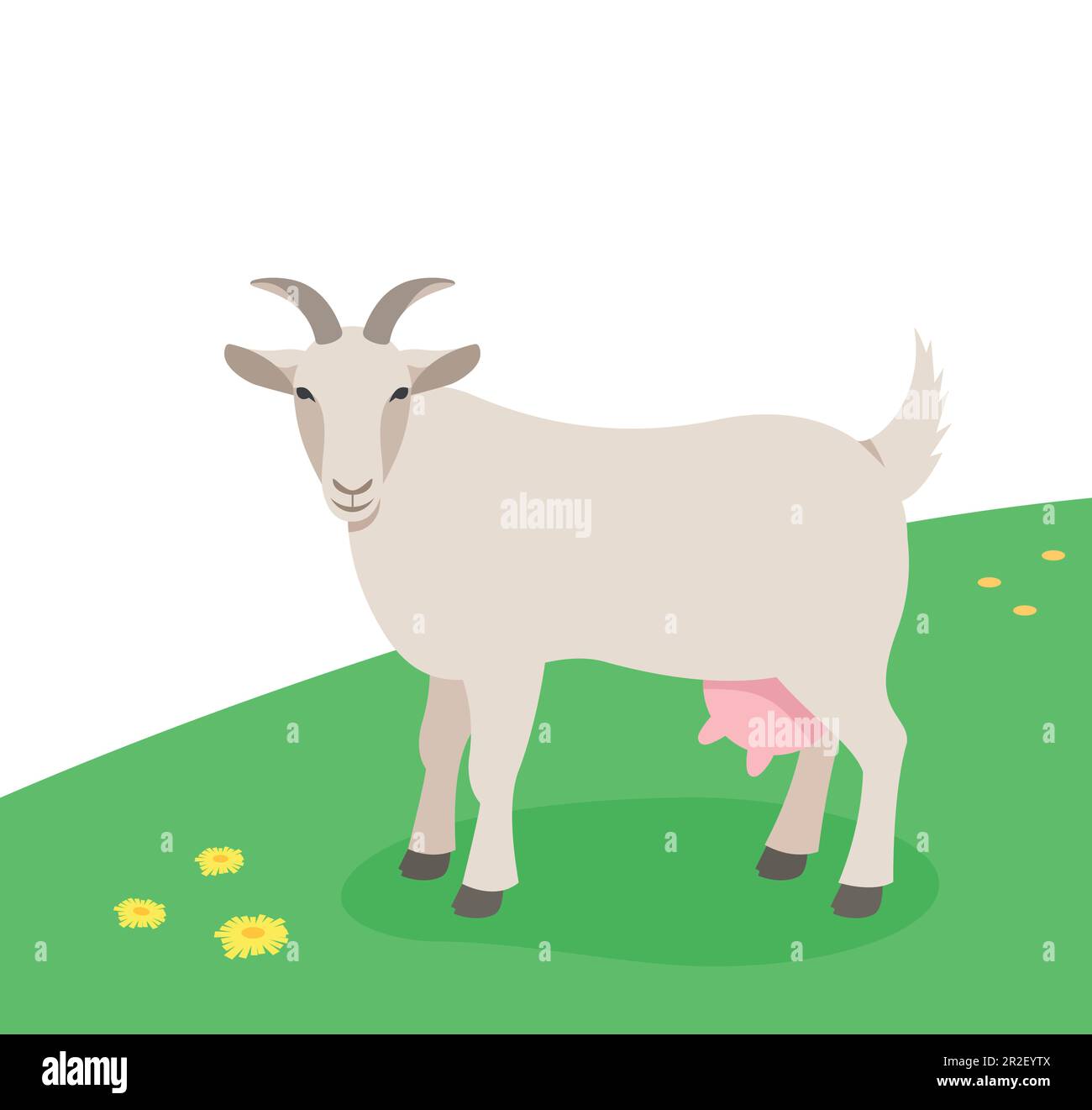 Cabra femenina cornuda de pie en la hierba verde. Animales domésticos de granja pastando en un pasto de primavera. Ilustración plana de dibujos animados. Spring meadow fondo Ilustración del Vector