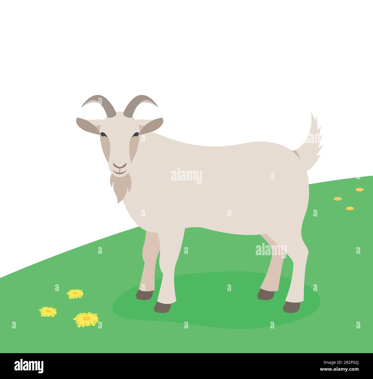 Cabra macho cornuda de pie en la hierba verde. Animales domésticos de granja pastando en un pasto de primavera. Ilustración plana de dibujos animados. Spring meadow fondo Ilustración del Vector