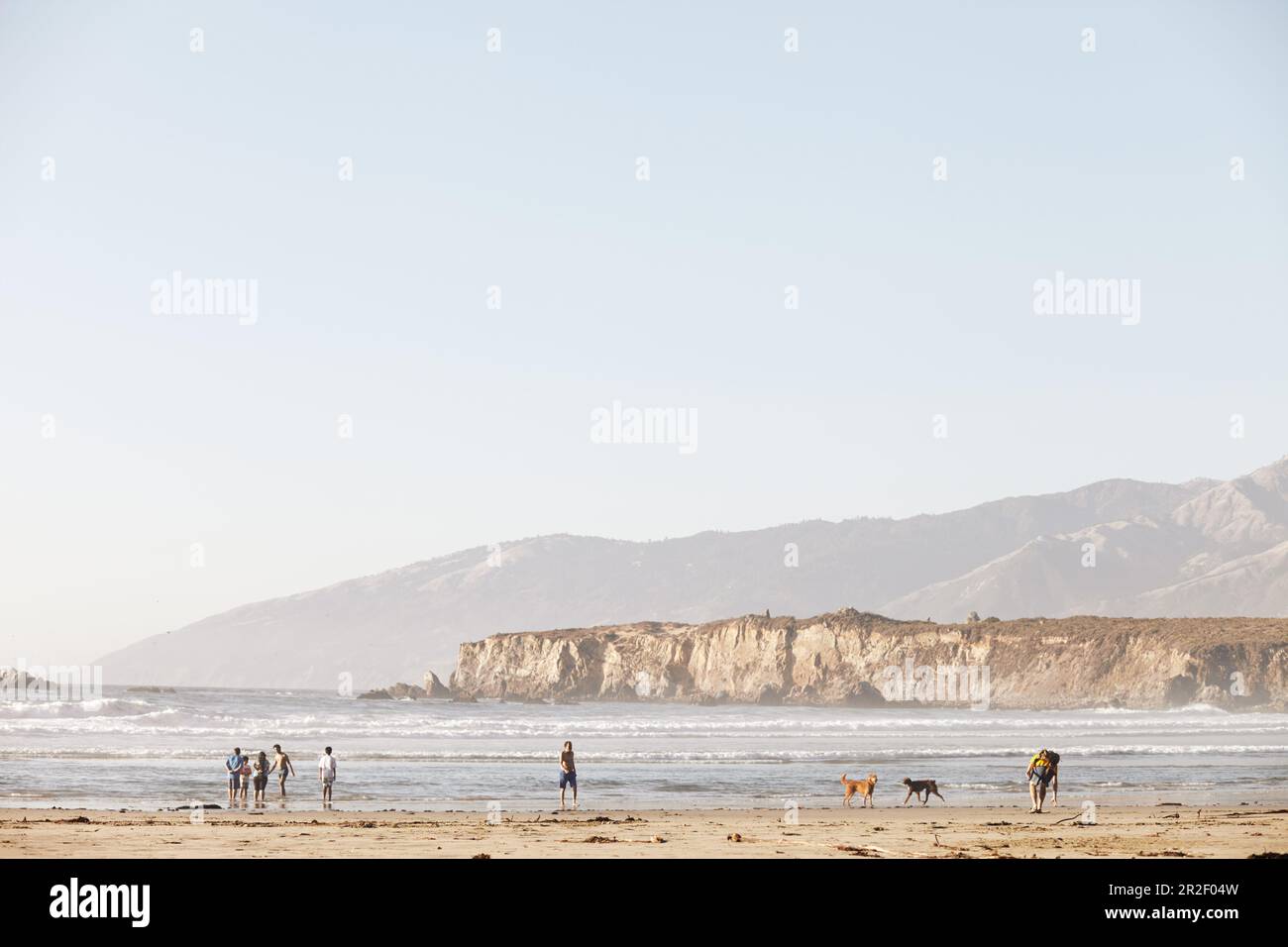 Caminantes de playa, bañistas y perros en la playa en Big Sur. California, Estados Unidos Foto de stock