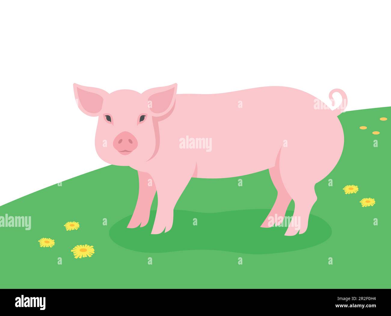 Cerdo parado en la hierba verde. Animales domésticos de granja pastando en un prado de primavera. Ilustración plana de dibujos animados de cerdos. Fondo de pastizal de verano Ilustración del Vector