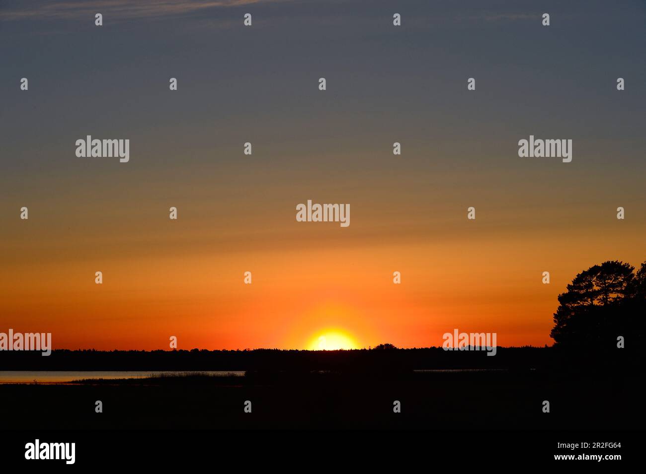 Puesta de sol en colores brillantes intensos en Hornborgasjön, Suecia Foto de stock