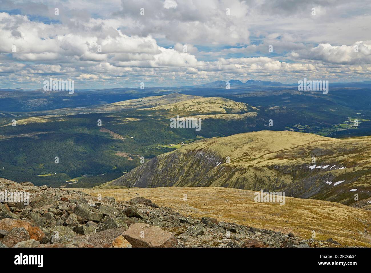 Vista desde la montaña escénica Tron cerca de Alvdal sobre las colinas, Hedmark, Noruega, Europa Foto de stock