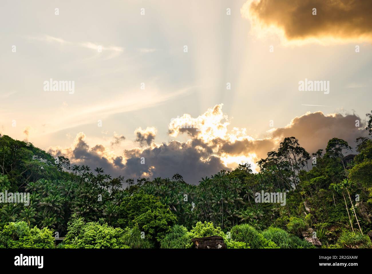 La puesta de sol de la selva tropical o el paisaje del cielo del amanecer  en Borneo, Malasia Fotografía de stock - Alamy