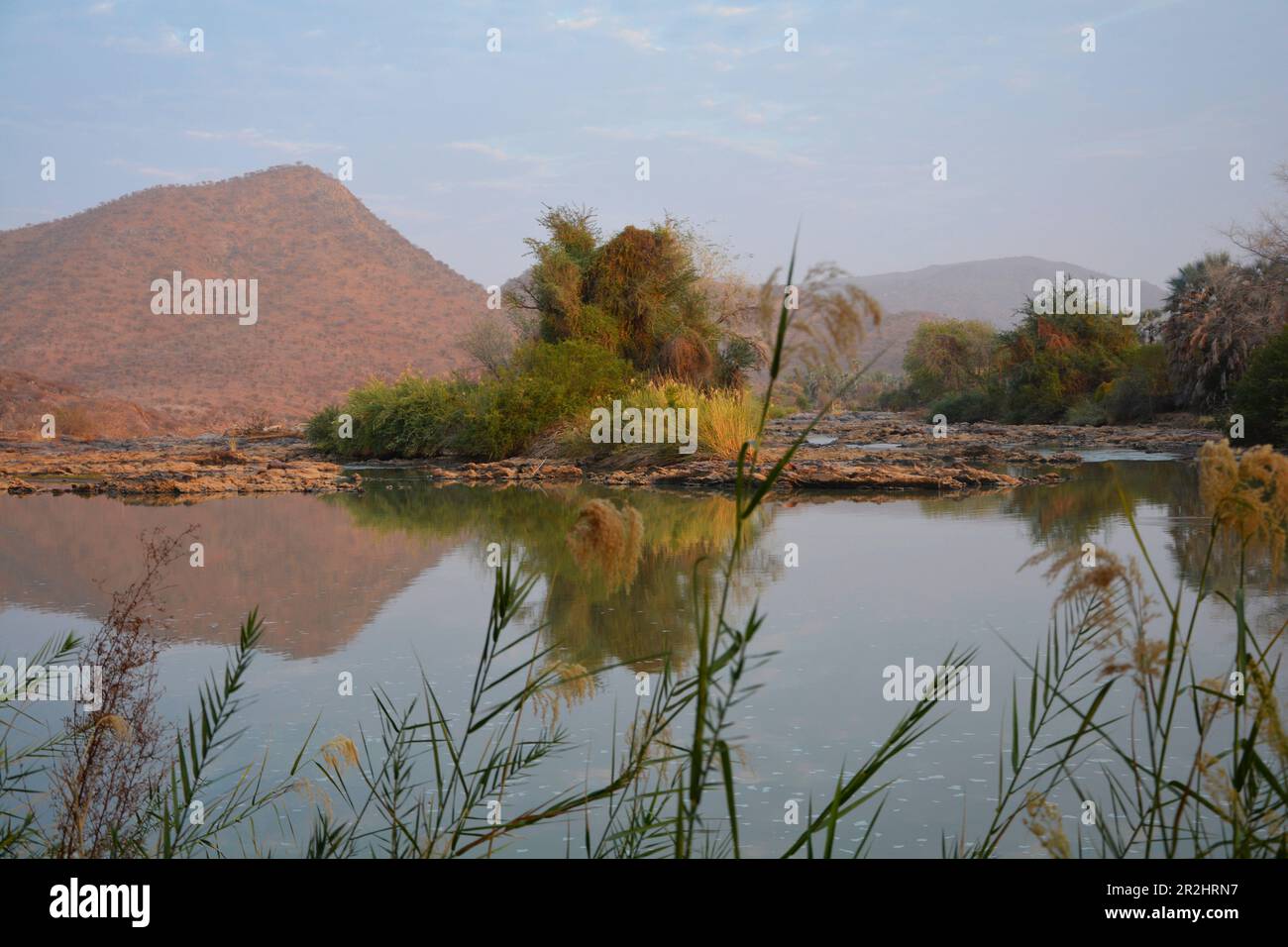Namibia; Región de Kunene; norte de Namibia; Kaokoveld; en Epupa; Río Kunene; exuberante vegetación en la orilla con palmeras y juncos; río fronterizo con Foto de stock