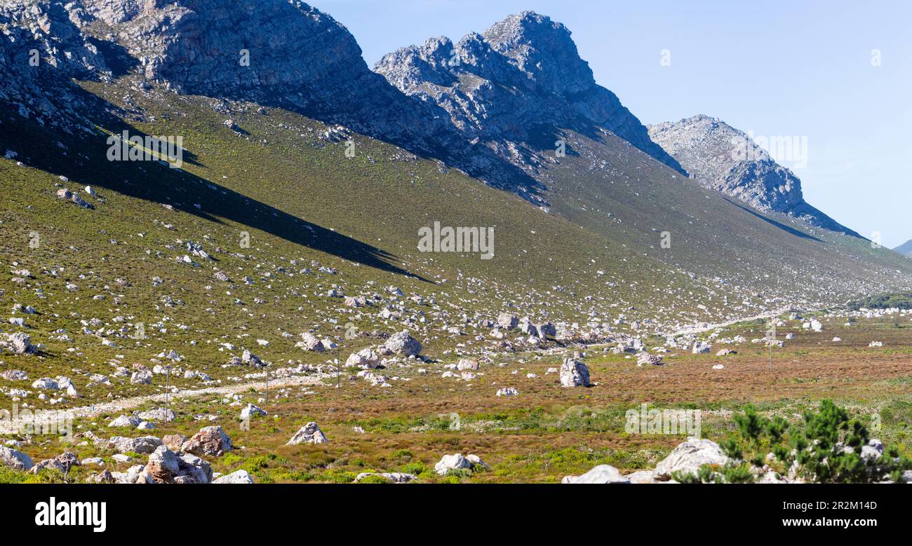 Rooiels / Rooi Els / Rooi-Els sendero de senderismo, un punto de observación de aves con fynbos de montaña famoso por las aves endémicas de Sudáfrica, cerca de Ciudad del Cabo, Western C Foto de stock