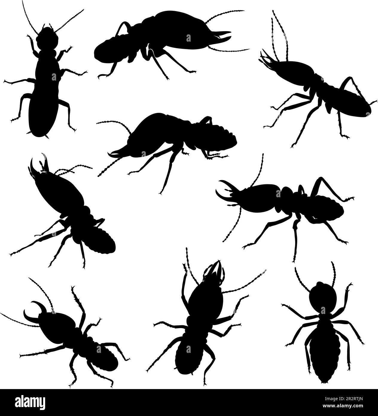 varias poses de termitas en gráficos en blanco y negro, en movimiento y estática, silueta Ilustración del Vector