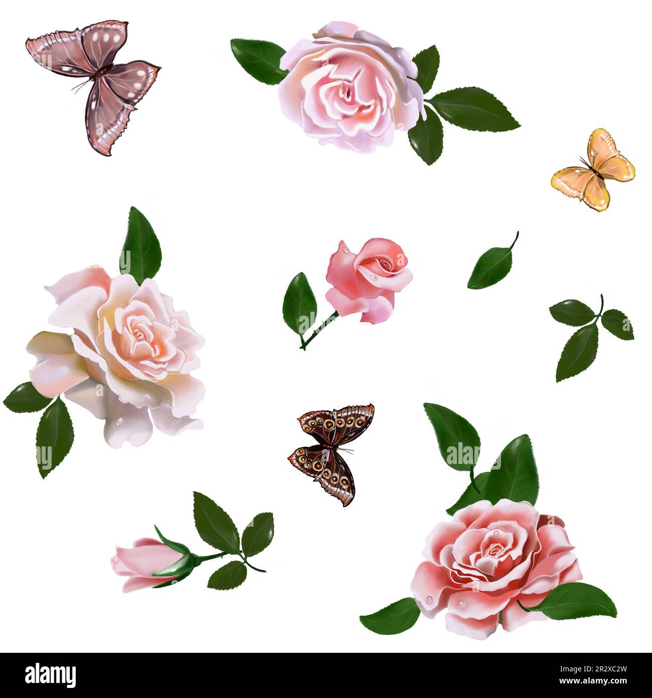 patrón de rosas con mariposas y colibríes sobre un fondo blanco, dibujado a mano, perfecto para el diseño de postales, folletos, ropa, dishe Foto de stock