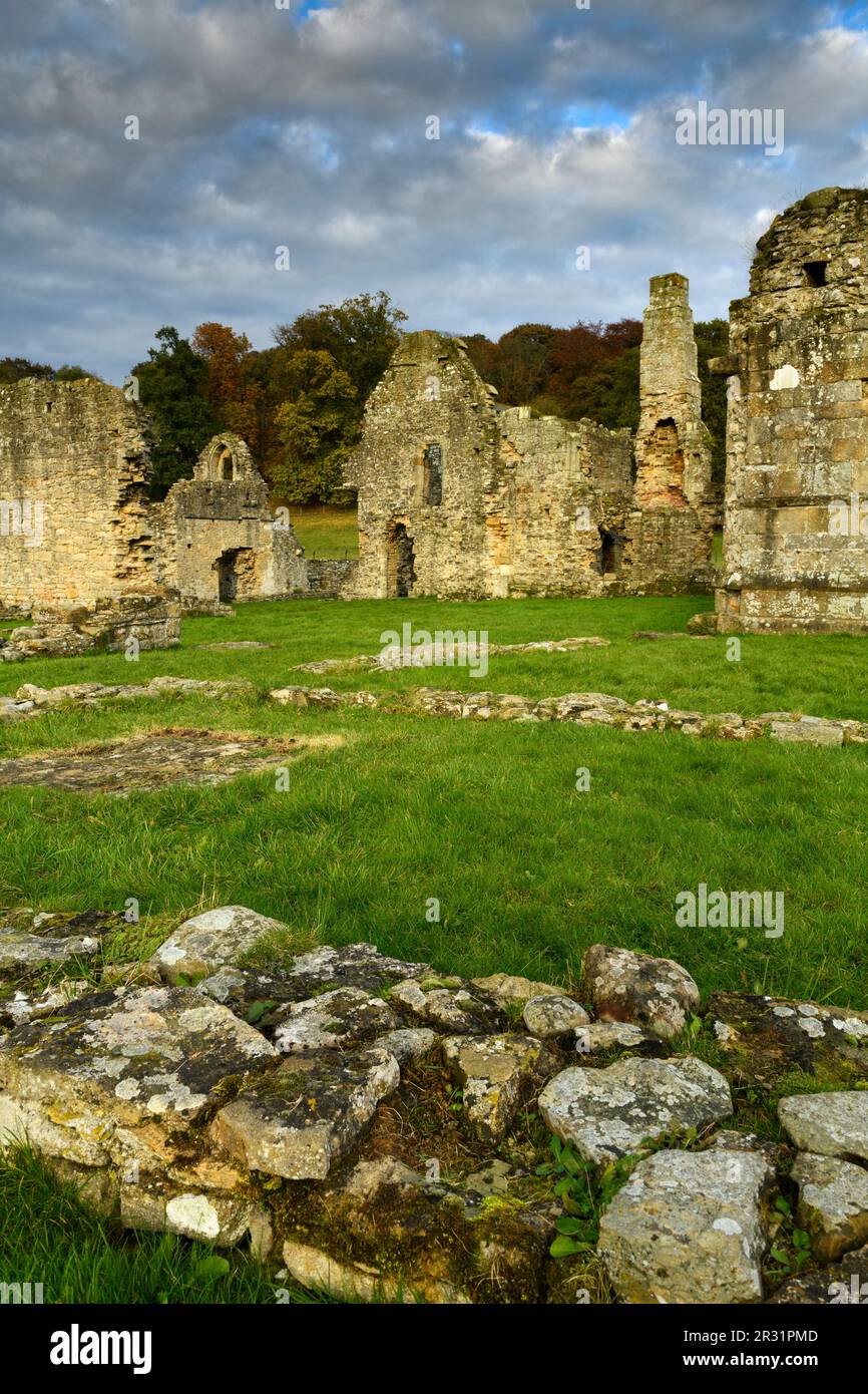 Pintoresco y hermoso monumento histórico medieval, Easby Abbey (restos de la cordillera norte del siglo 13th, paredes de piedra antiguas, chimenea, cielo dramático) - Inglaterra Reino Unido. Foto de stock