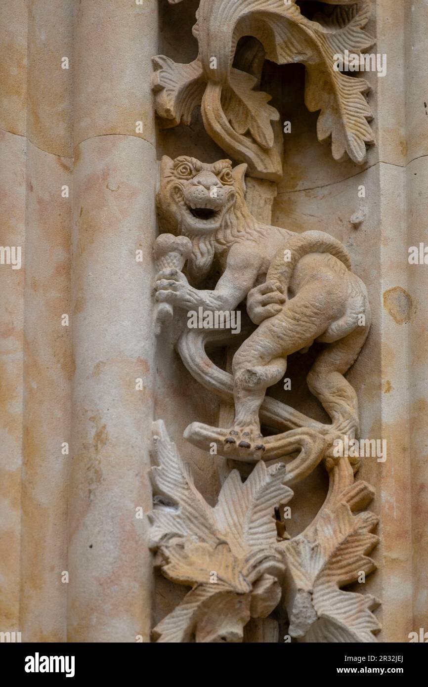 Figura , la puerta de Ramos, Catedral de la Asunción de la Virgen, la Catedral Nueva, Salamanca, comunidad autónoma de Castilla y León, España. Foto de stock