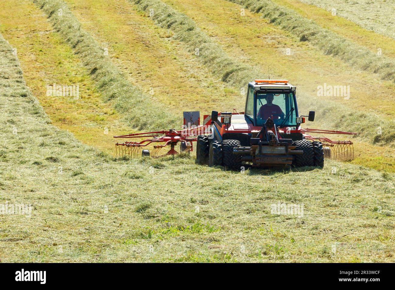 Agricultor trabajando en el campo, Tirol, Tirol Foto de stock