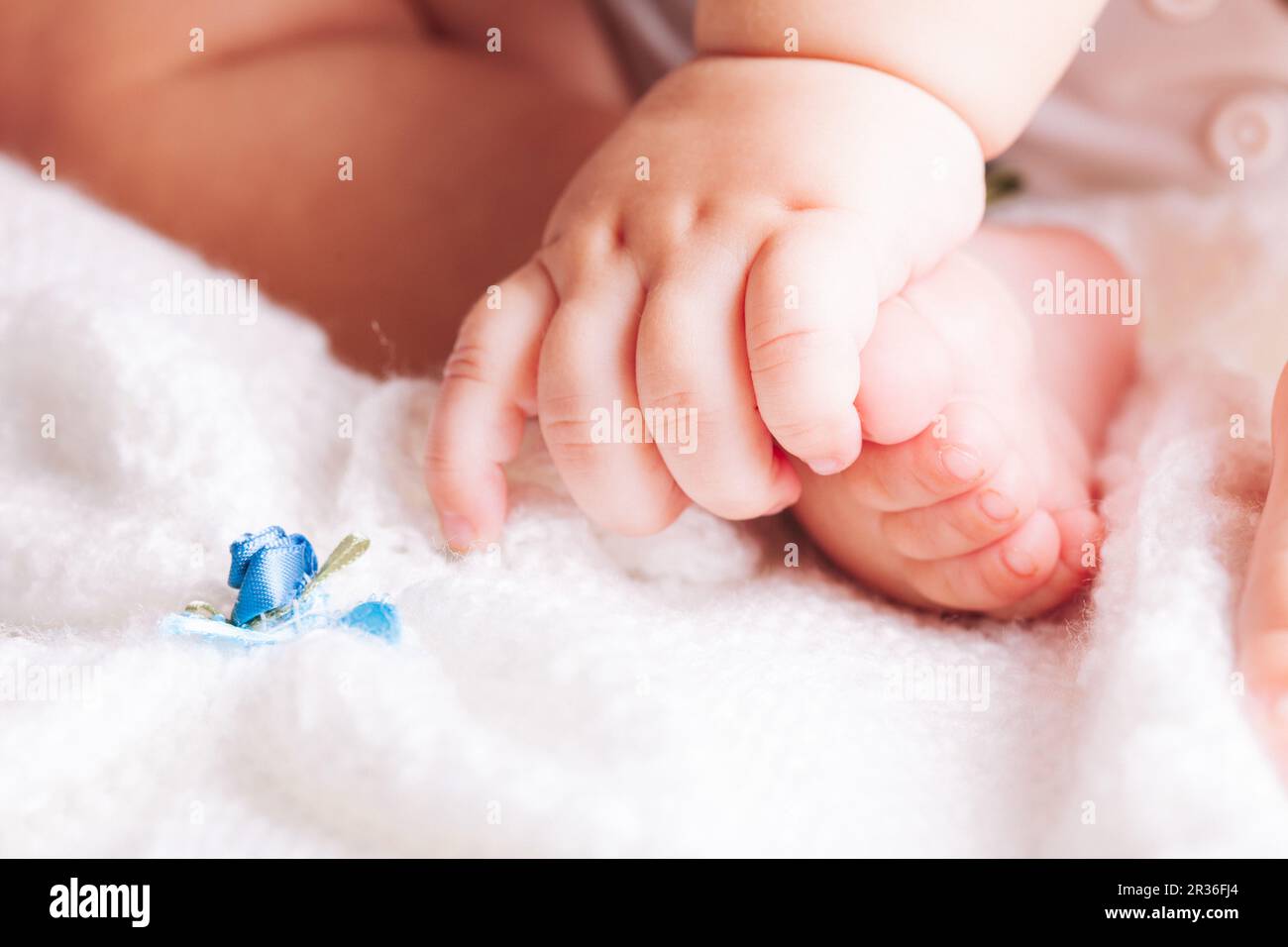 Manos Suaves De Madre Sosteniendo A Su Preciosa Niña Bebé Recién Nacido.  Fotos, retratos, imágenes y fotografía de archivo libres de derecho. Image  32257651