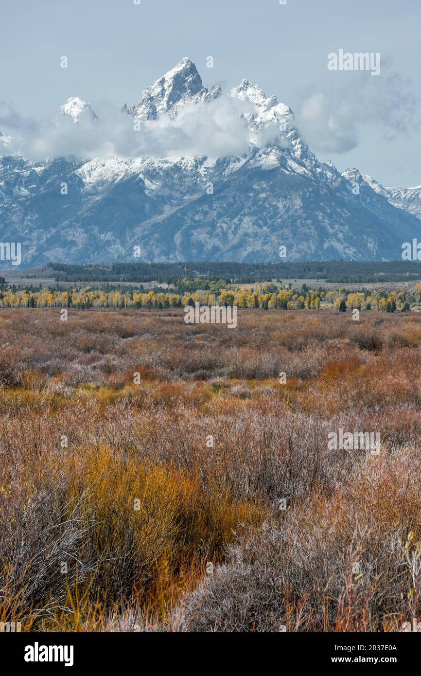 Vista de la Cordillera de Grand Teton Foto de stock