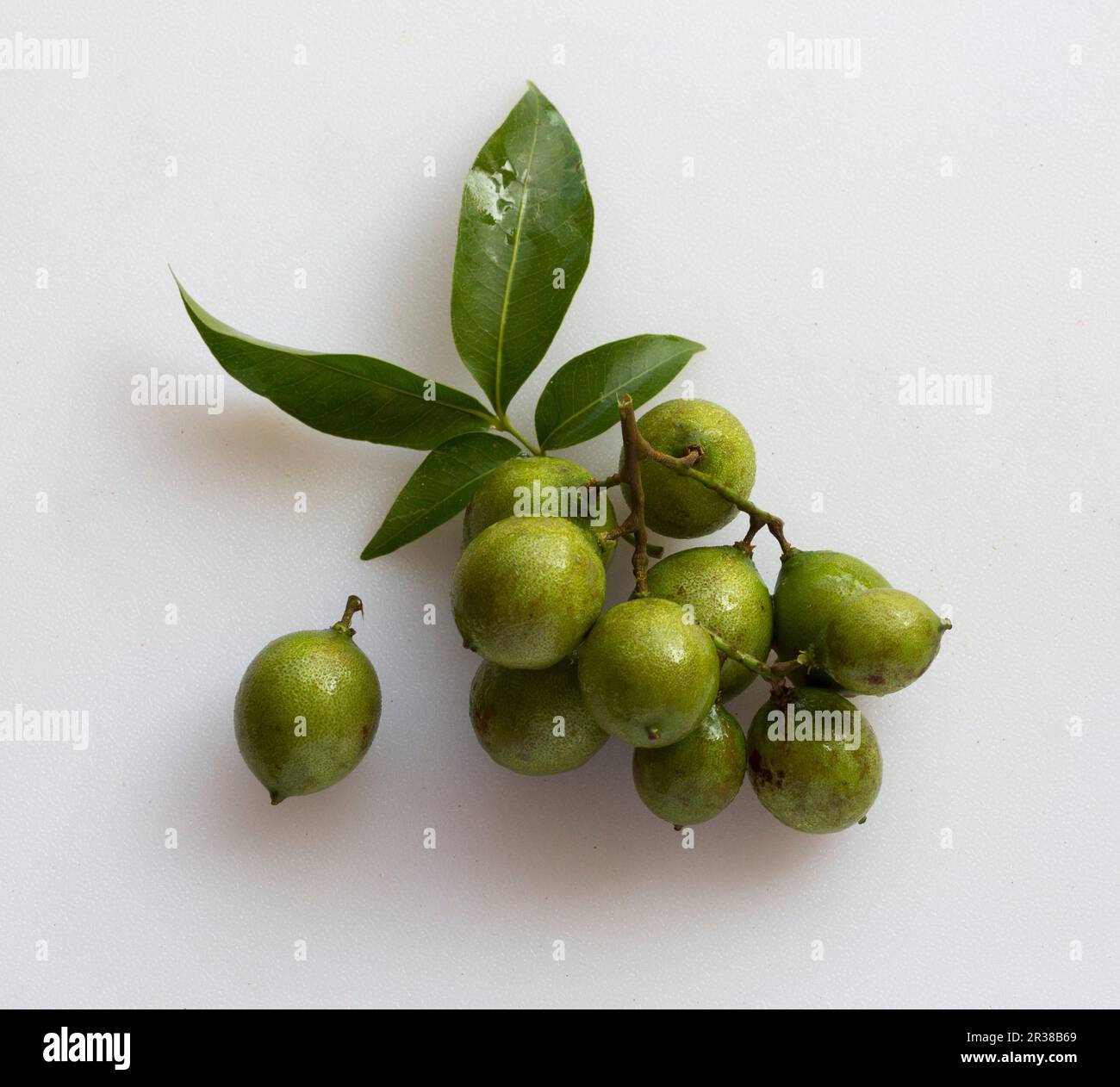 Quenepas fotografías e imágenes de alta resolución Alamy