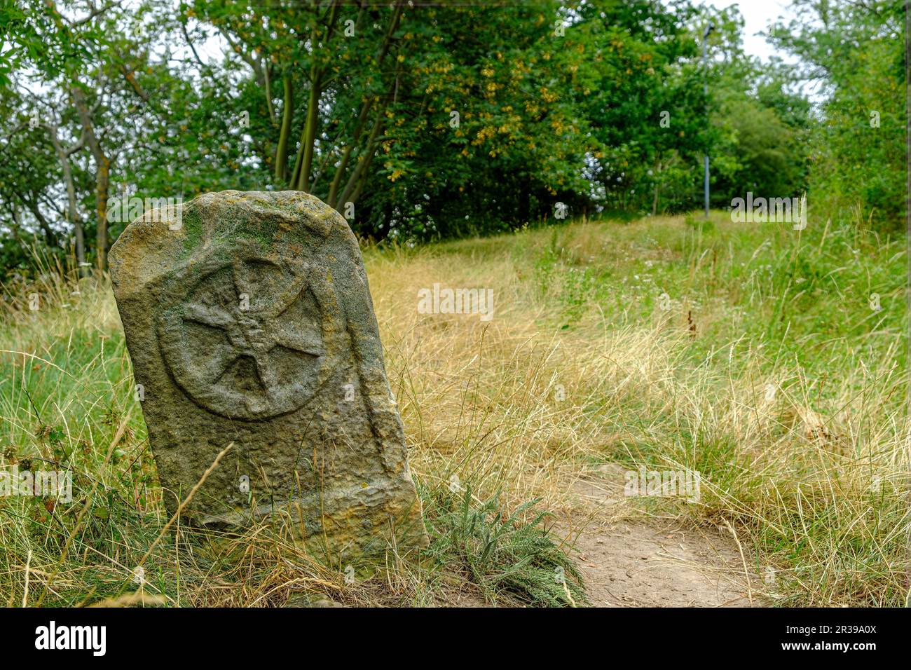 Piedra de frontera histórica con la rueda Mainz en Schlossleite, una reserva natural y de senderismo alrededor de Mühlberg, Turingia, Alemania. Foto de stock
