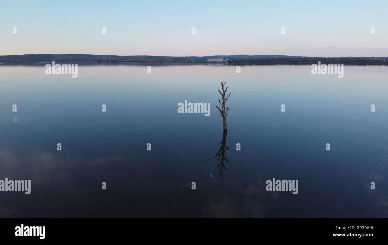 Depósito de Nove mlyny y árbol solitario restante en el área inundada, Palava, República Checa, Europa, paisaje aéreo del panorama invernal Foto de stock