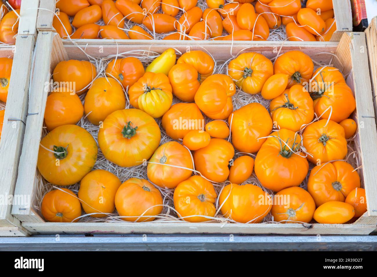 Tomates frescos en una caja en un mercado Foto de stock